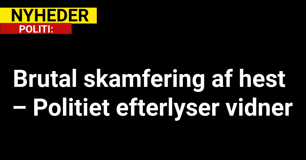 Brutal skamfering af hest – Politiet efterlyser vidner