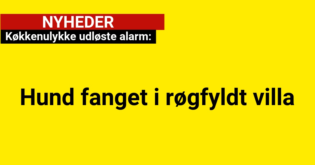 Køkkenulykke udløste alarm: