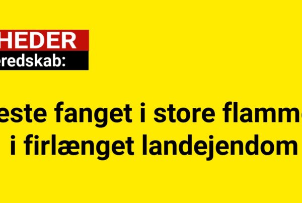 Heste fanget i store flammer i firlænget landejendom