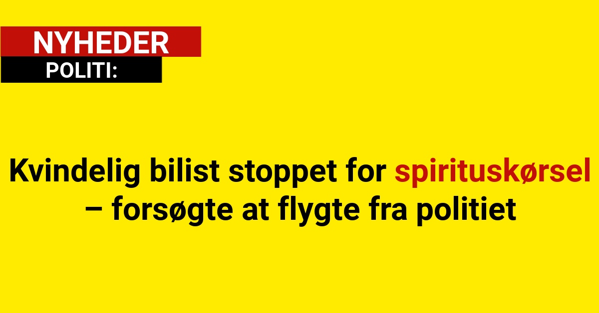 Kvindelig bilist stoppet for spirituskørsel – forsøgte at flygte fra politiet