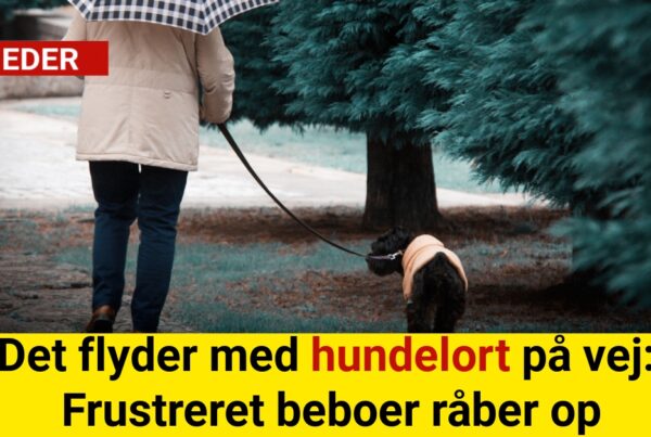 Det flyder med hundelort på vej: Frustreret beboer råber op