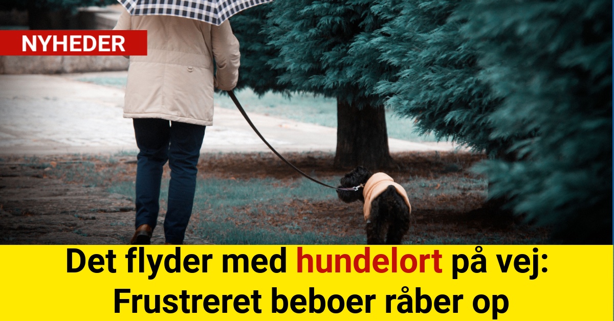 Det flyder med hundelort på vej: Frustreret beboer råber op