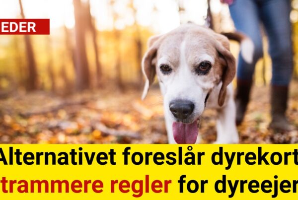 Alternativet foreslår dyrekort: Strammere regler for dyreejere