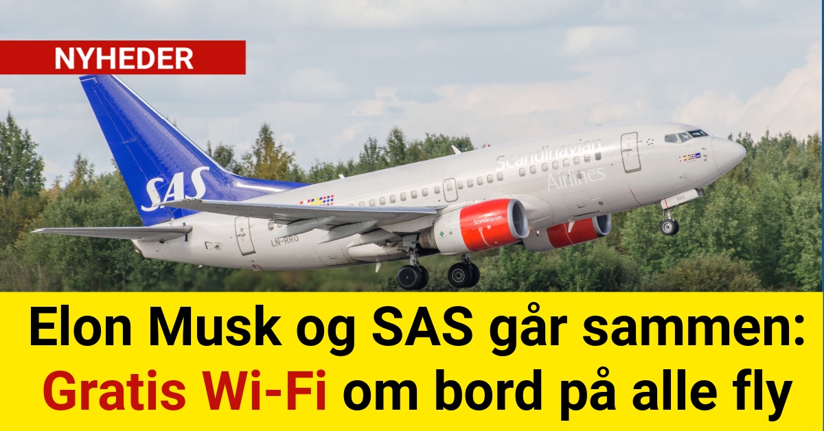 Elon Musk og SAS Går Sammen: Gratis Wi-Fi om Bord på Alle FlyElon Musk og SAS Går Sammen: Gratis Wi-Fi om Bord på Alle Fly