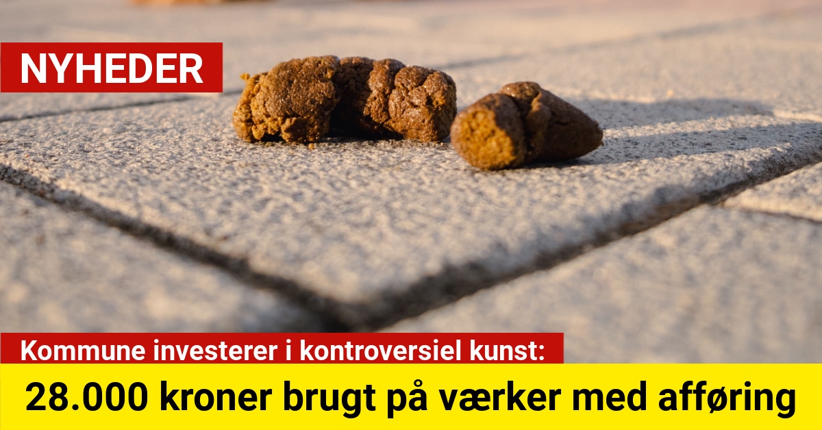 Kommune investerer i kontroversiel kunst: