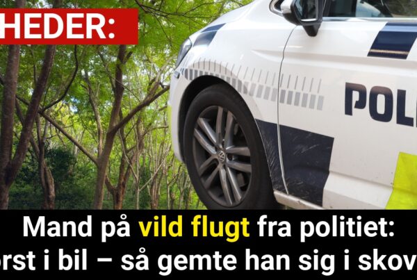 Mand på vild flugt fra politiet: Først i bil – så gemte han sig i skoven