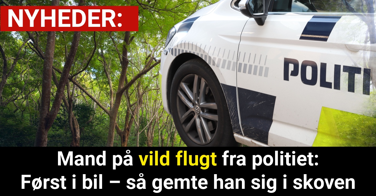 Mand på vild flugt fra politiet: Først i bil – så gemte han sig i skoven