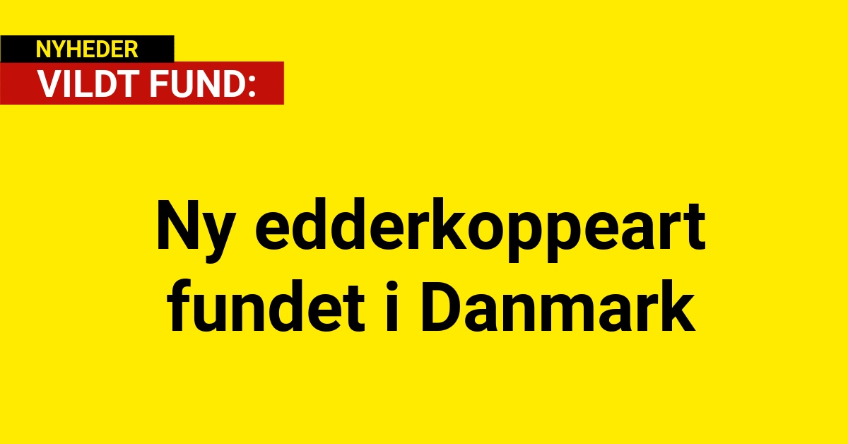 Ny edderkoppeart fundet i Danmark