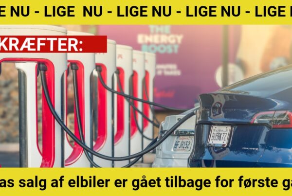 Teslas salg af elbiler er gået tilbage for første gang