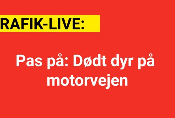 Pas på: Dødt dyr på motorvejen