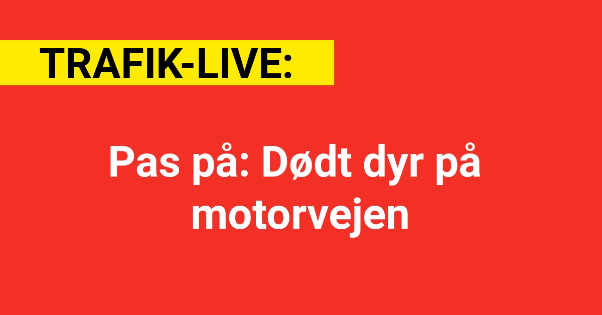 Pas på: Dødt dyr på motorvejen