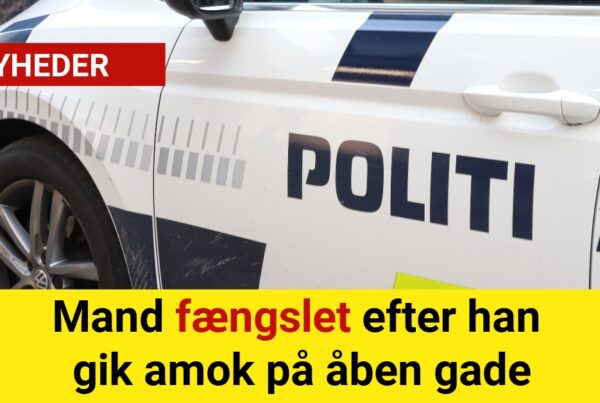 Mand fængslet efter han gik amok på åben gade