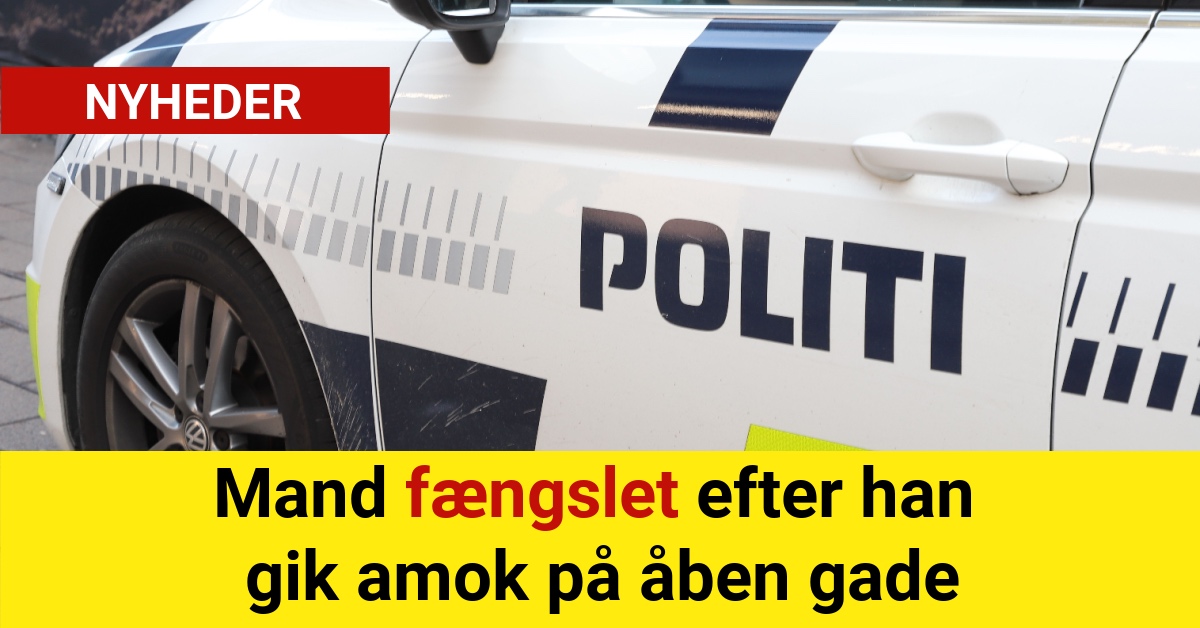 Mand fængslet efter han gik amok på åben gade