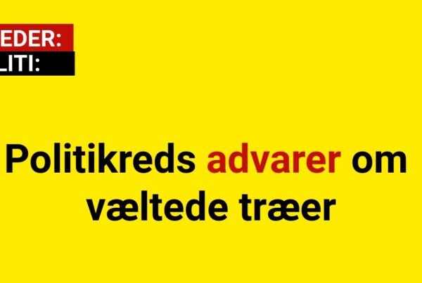 Politikreds advarer om væltede træer