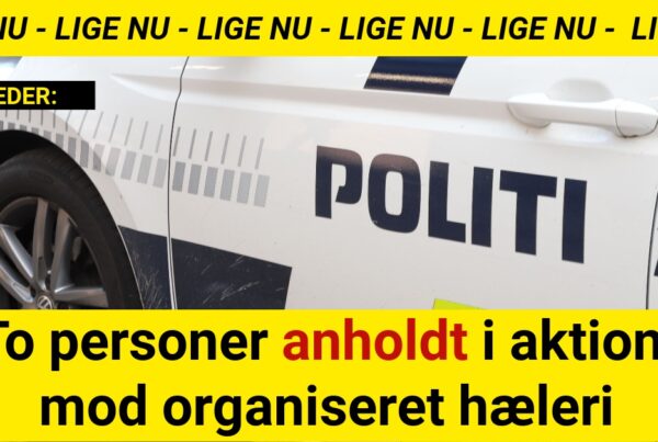 To personer anholdt i aktion mod organiseret hæleri