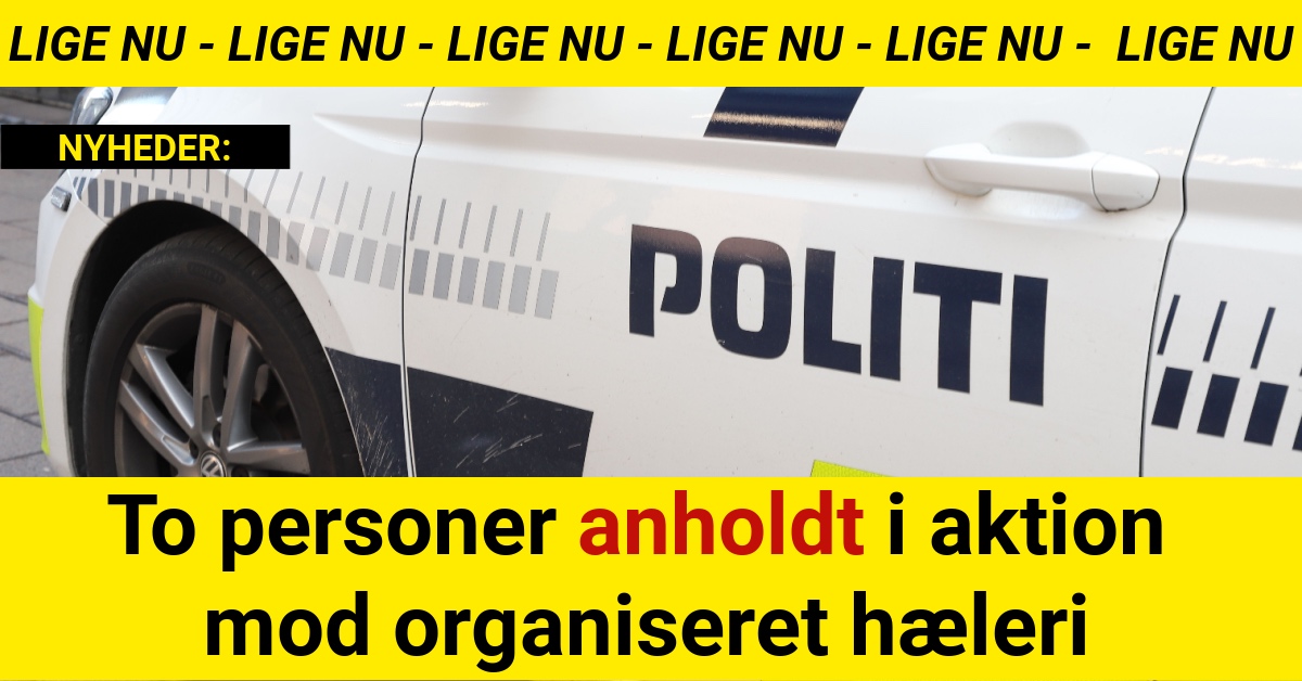 To personer anholdt i aktion mod organiseret hæleri