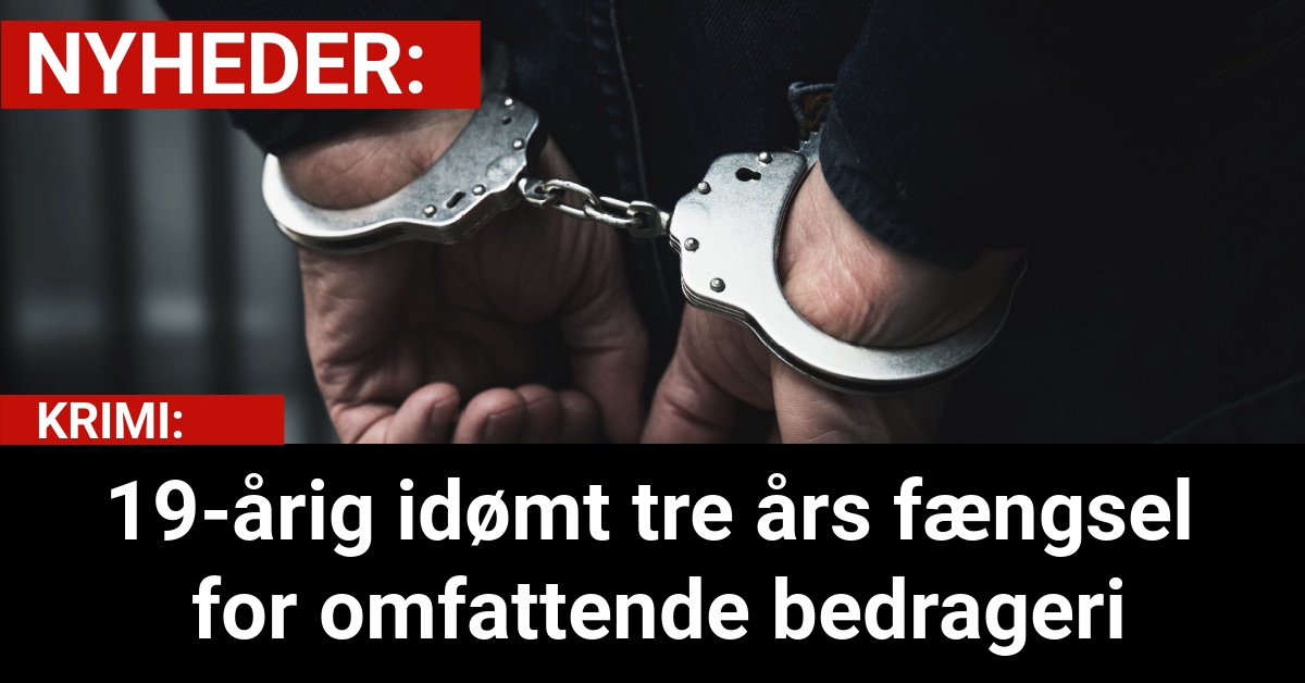 19-årig idømt tre års fængsel for omfattende bedrageri