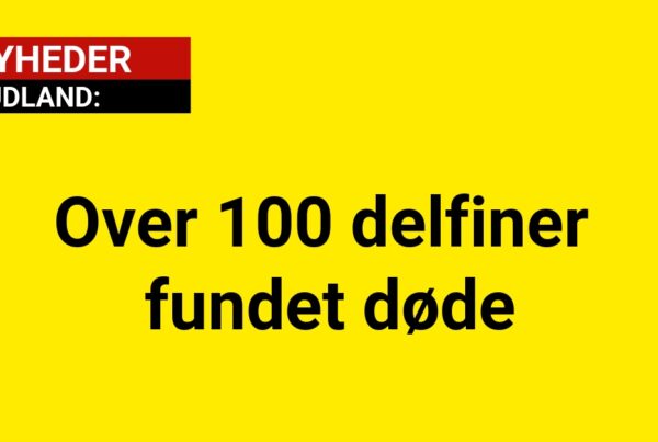 Over 100 delfiner fundet døde