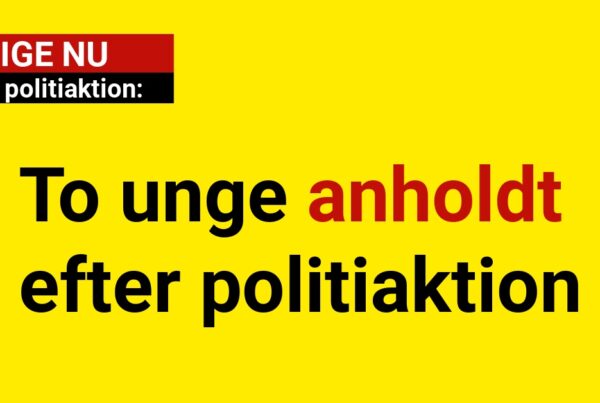 To unge anholdt efter politiaktion