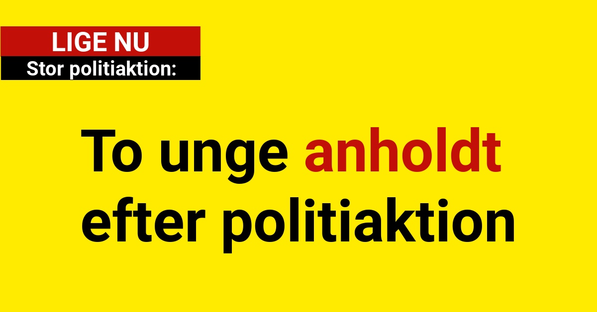 To unge anholdt efter politiaktion