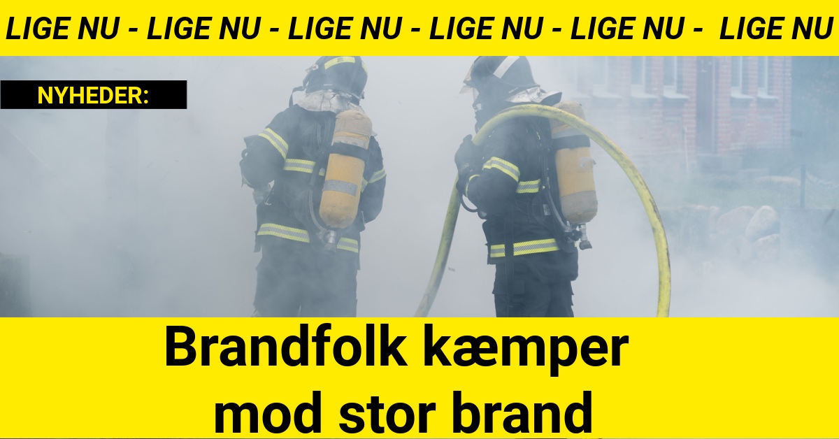 Brandfolk kæmper mod stor brand