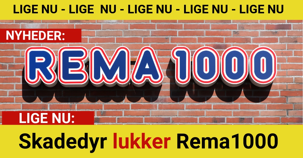 Skadedyr lukker Rema1000