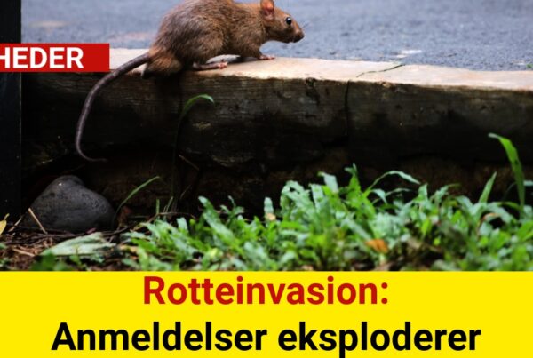 Rotteinvasion: Anmeldelser eksploderer