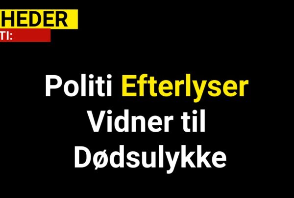 Politi Efterlyser Vidner til Dødsulykke