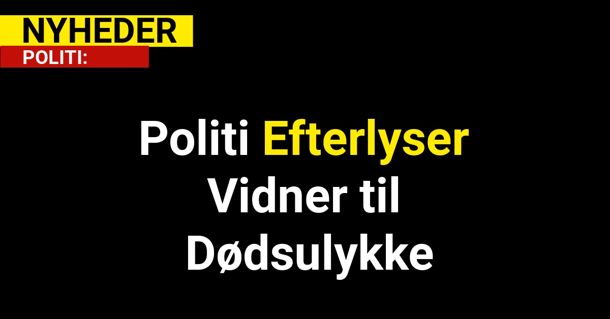 Politi Efterlyser Vidner til Dødsulykke