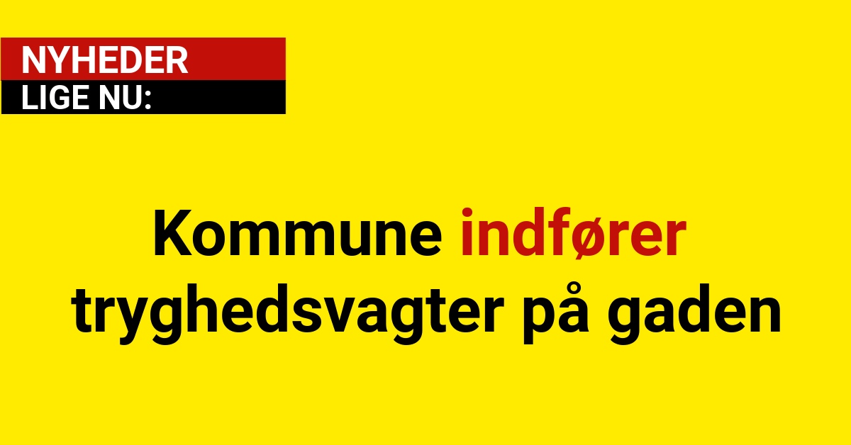 Kommune indfører tryghedsvagter på gaden