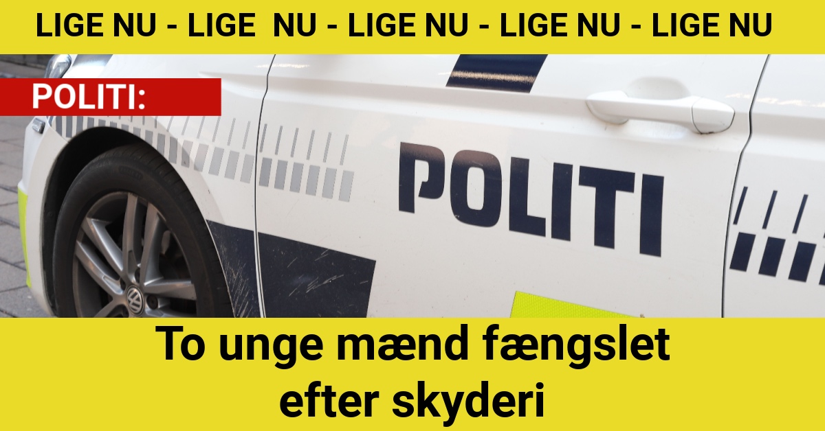 To unge mænd fængslet efter skyderi