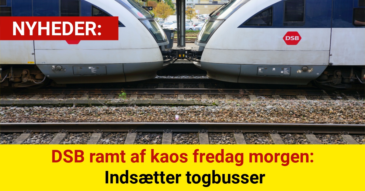 DSB ramt af kaos fredag morgen: Indsætter togbusser