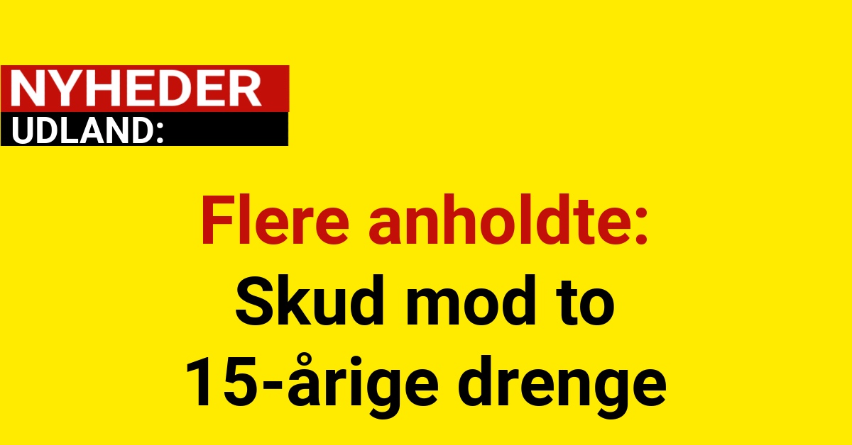 Flere anholdte: Skud mod to 15-årige drenge