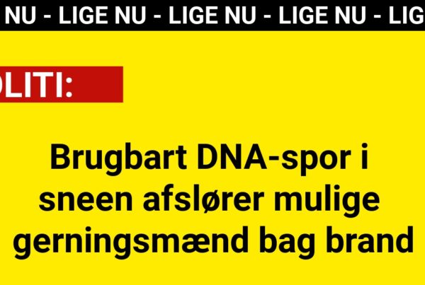 Brugbart DNA-spor i sneen afslører mulige gerningsmænd bag brand