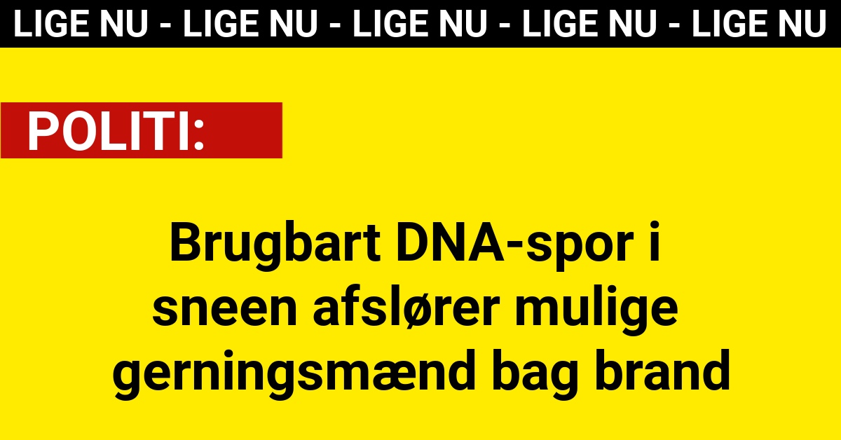 Brugbart DNA-spor i sneen afslører mulige gerningsmænd bag brand