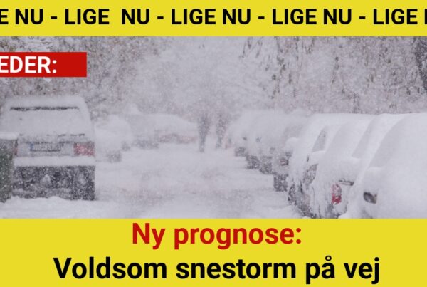 Ny prognose: Voldsom snestorm på vej