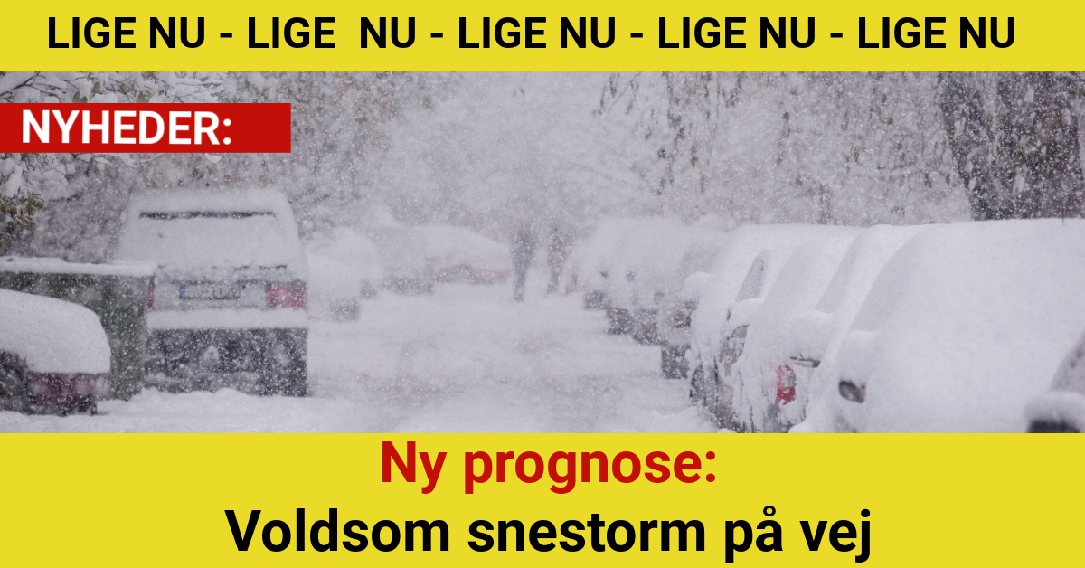 Ny prognose: Voldsom snestorm på vej