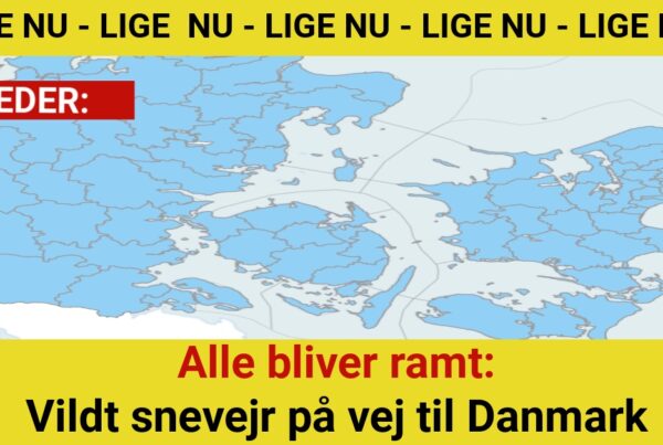 Alle bliver ramt: Vildt snevejr på vej til Danmark