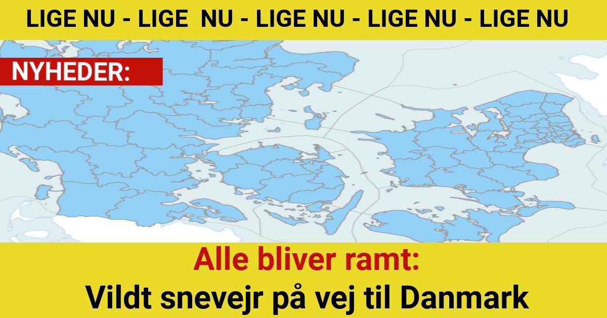 Alle bliver ramt: Vildt snevejr på vej til Danmark