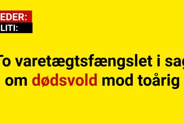 To varetægtsfængslet i sag om dødsvold mod toårig