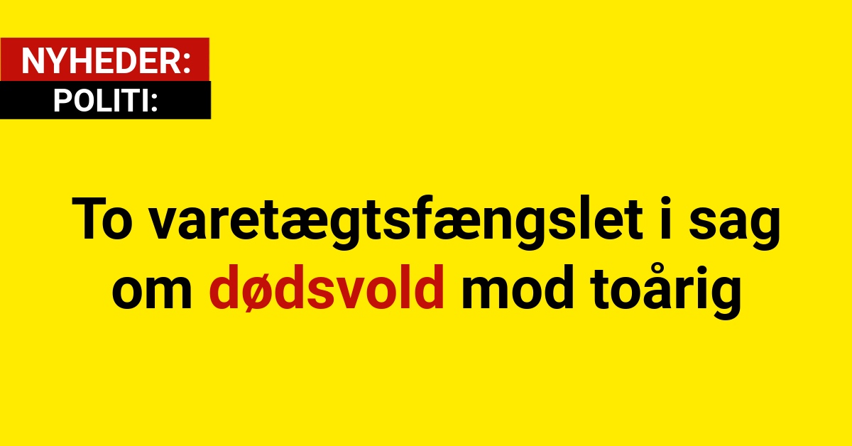 To varetægtsfængslet i sag om dødsvold mod toårig