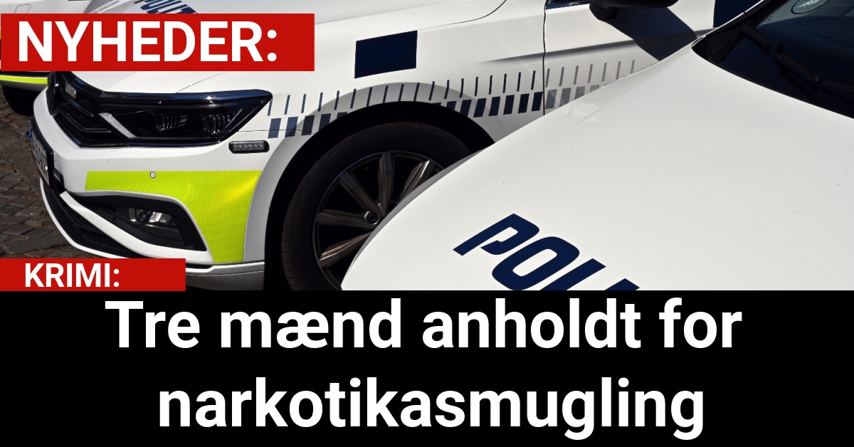 Tre mænd anholdt for narkotikasmugling