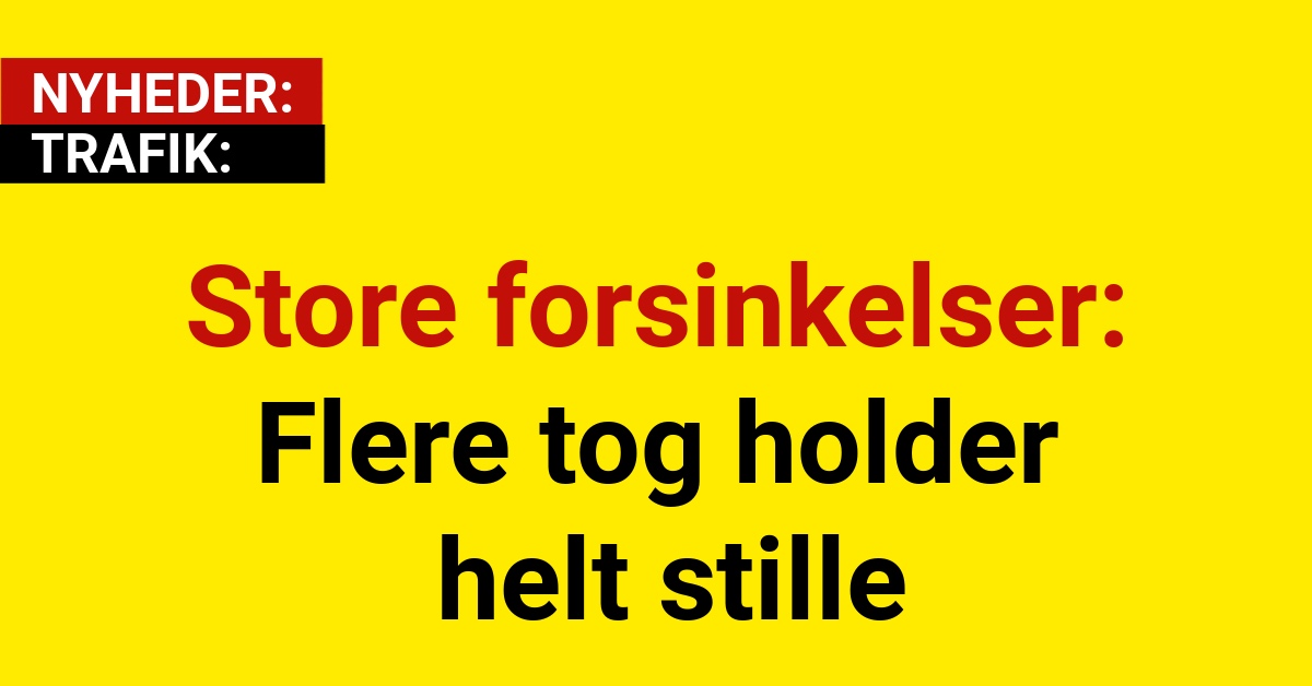 Store forsinkelser: Flere tog holder helt stille