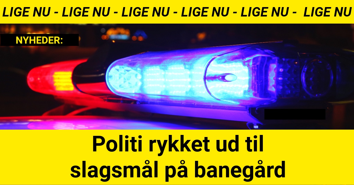 Politi rykket ud til slagsmål på banegård