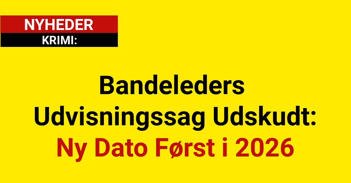 Bandeleders Udvisningssag Udskudt: Ny Dato Først i 2026