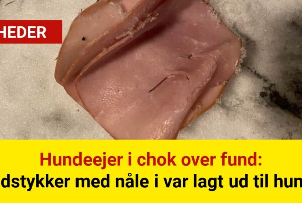 Hundeejer i chok over fund: Kødstykker med nåle i var lagt ud til hunde