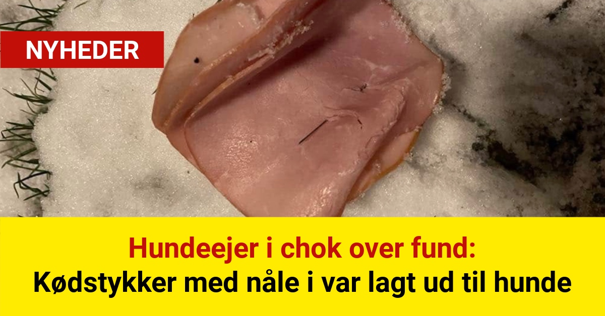 Hundeejer i chok over fund: Kødstykker med nåle i var lagt ud til hunde