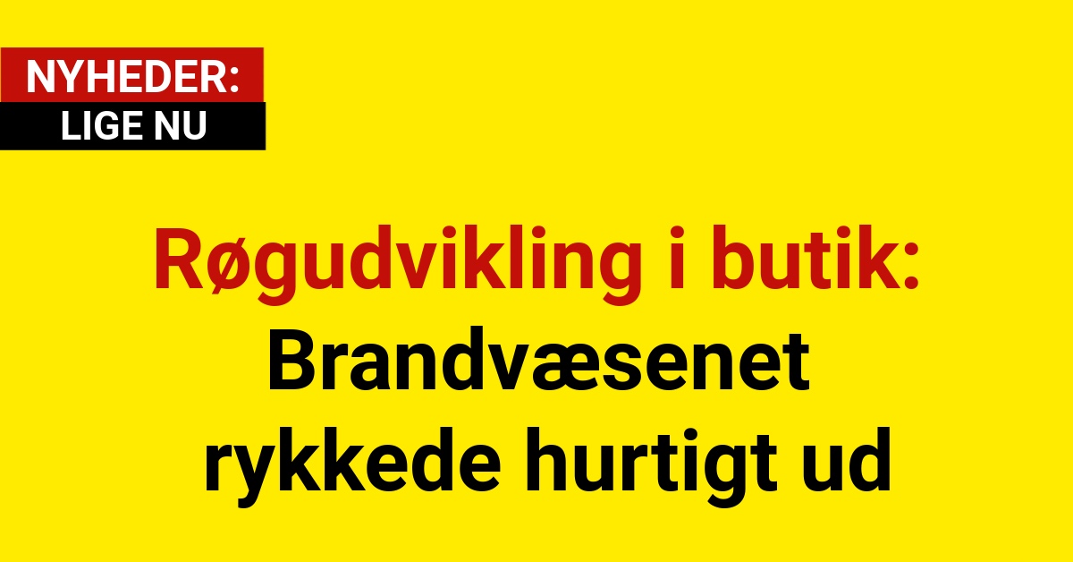 Røgudvikling i butik: Brandvæsenet rykkede hurtigt ud