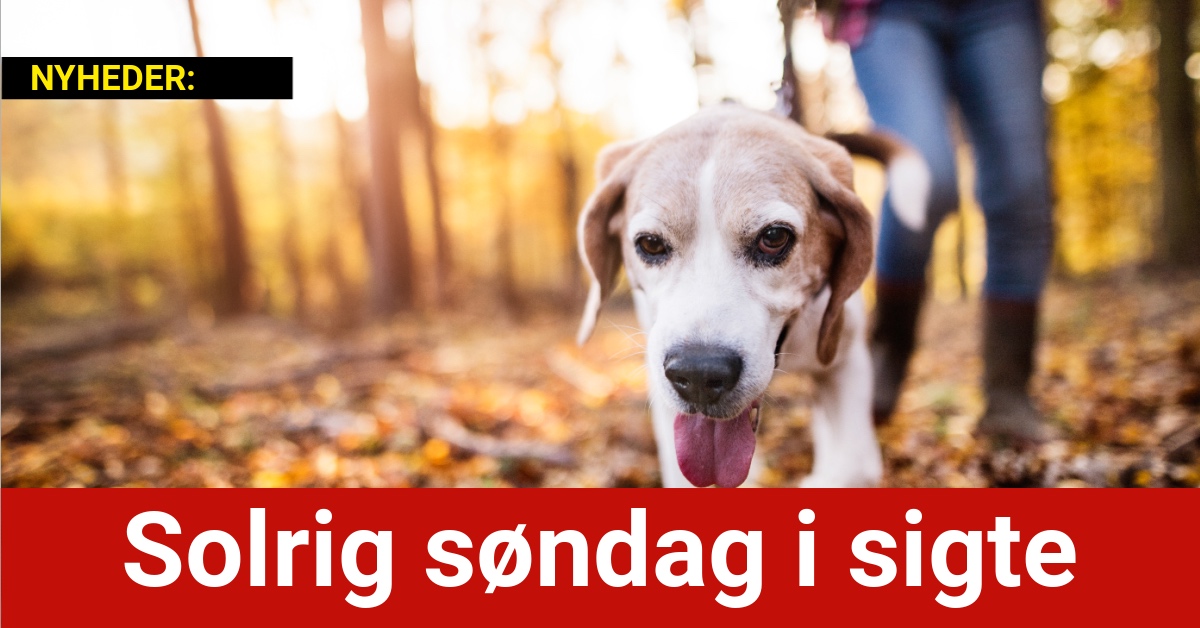 Solrig søndag i sigte