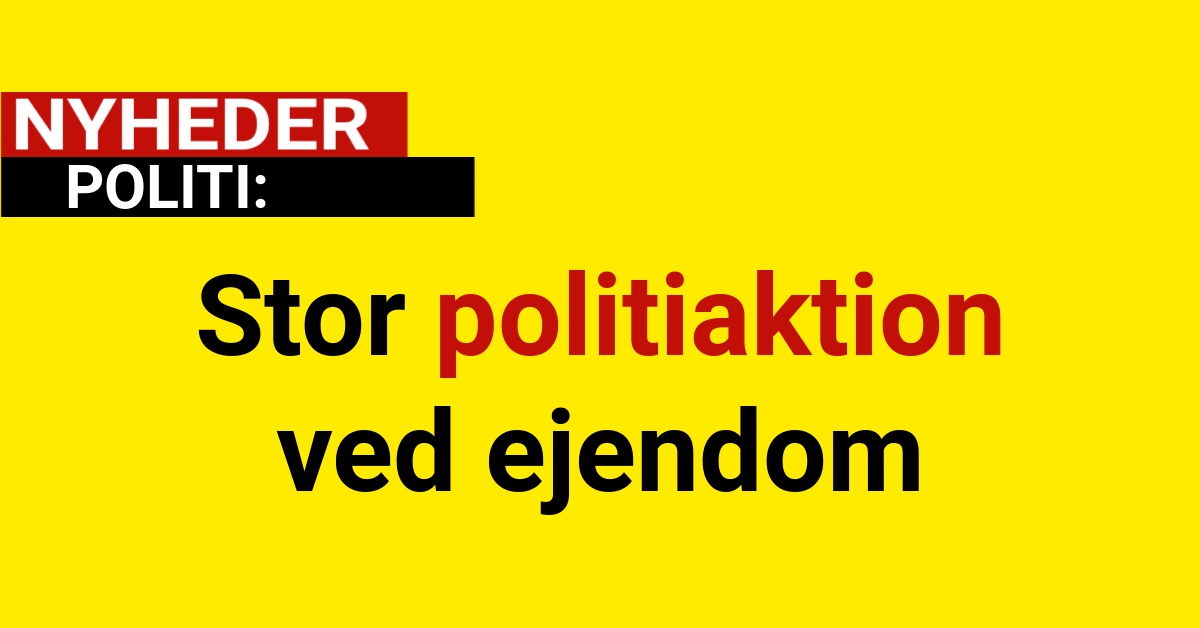 Stor politiaktion ved ejendom